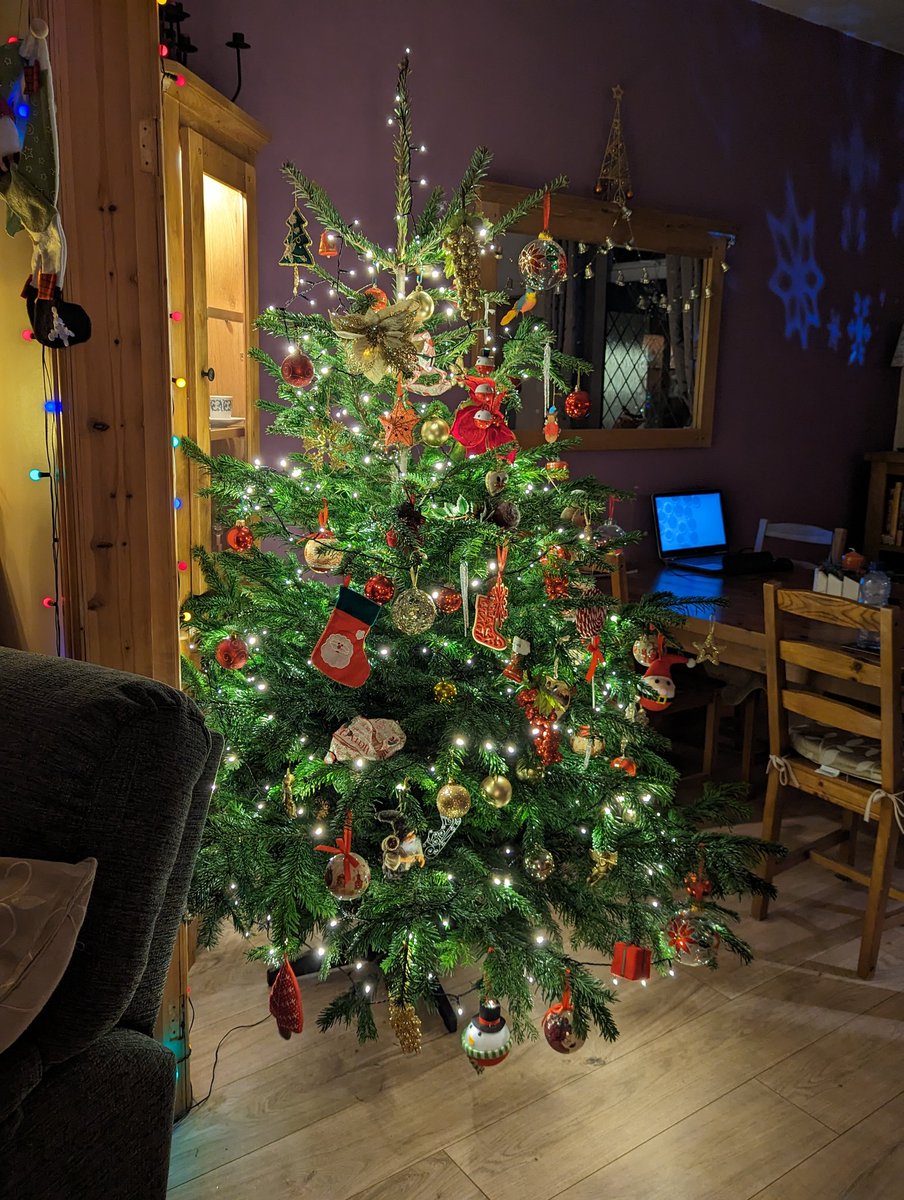 Yesterday we completed our elfing duties we bought a tree that big it wouldnt look bad out side a town hall🎄🤯