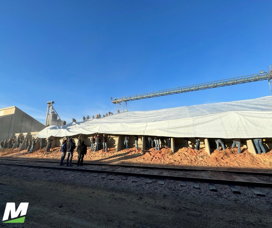 #MTCAg & #MTCPrecisionAg students helped tarp the corn pile at @CHSinc to protect it from the coming winter elements. With approximately 150 students' help, covering the 900,000 bushels took a total of three hours.

#BeTheBest #MitchellTech