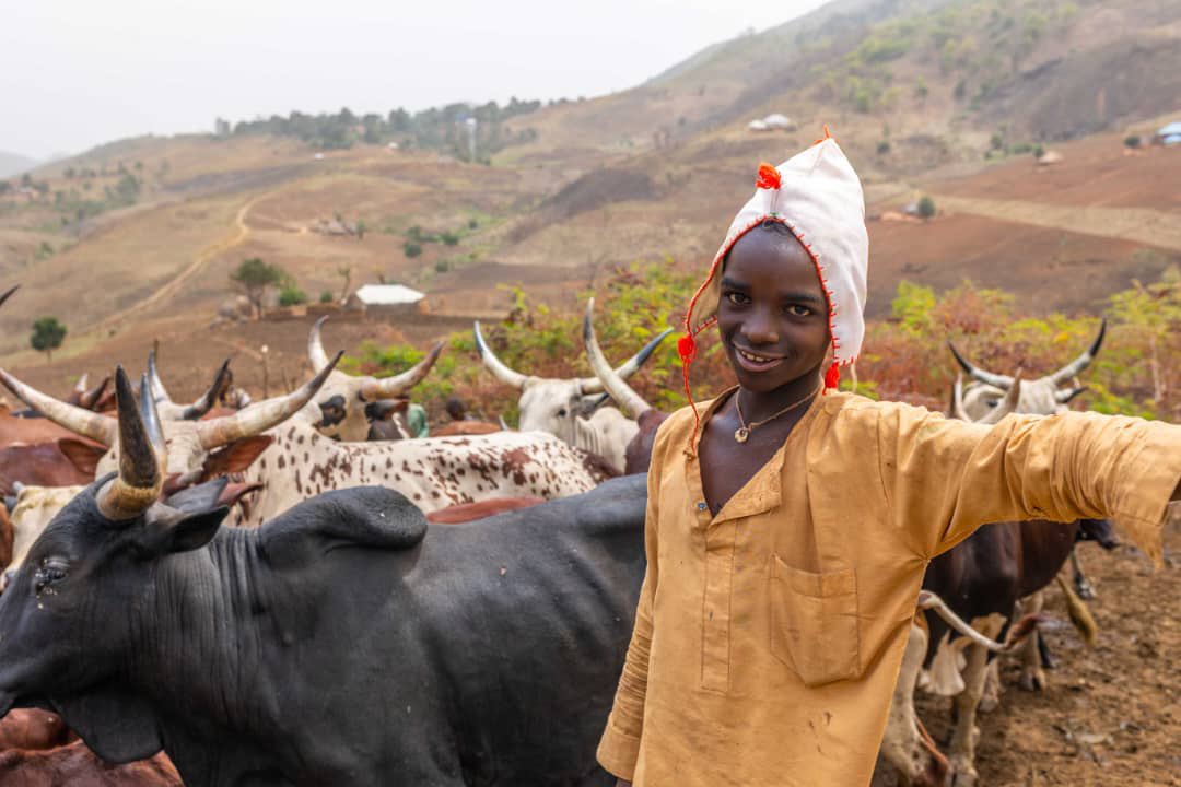 <a href="/ANI_Foundation/">Africa Nature Investors Foundation</a> was excited to present the Gashaka Gumti Carbon Project <a href="/COP28_UAE/">COP28 UAE</a> at the  <a href="/COMIFACINFO/">COMIFAC - Commission des Forêts d'Afrique Centrale</a> Pavillion regarding biodiversity, pastoralism &amp; carbon finance. We are proud to be a <a href="/cbfp_pfbc/">Partenariat Forêts Bassin du Congo</a> member &amp; hope we can pilot new approaches to conservation for the region.