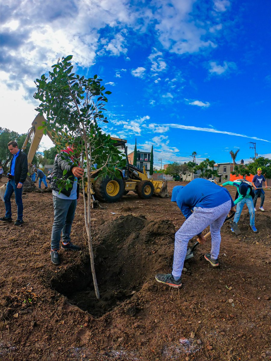 ApaseoGob's tweet photo. El día de hoy la Dirección de Ecología, el Colegio Guanajuato y los vecinos de la Col. El Guadalupano participaron  en  la de Jornada Reforestación.

El Presidente Municipal Chelis Oliveros anunció que se rehabilitará este espacio con el programa #ALaPAR.

#EsTiempoDeTodos https://t.co/GVRfrcY7Es