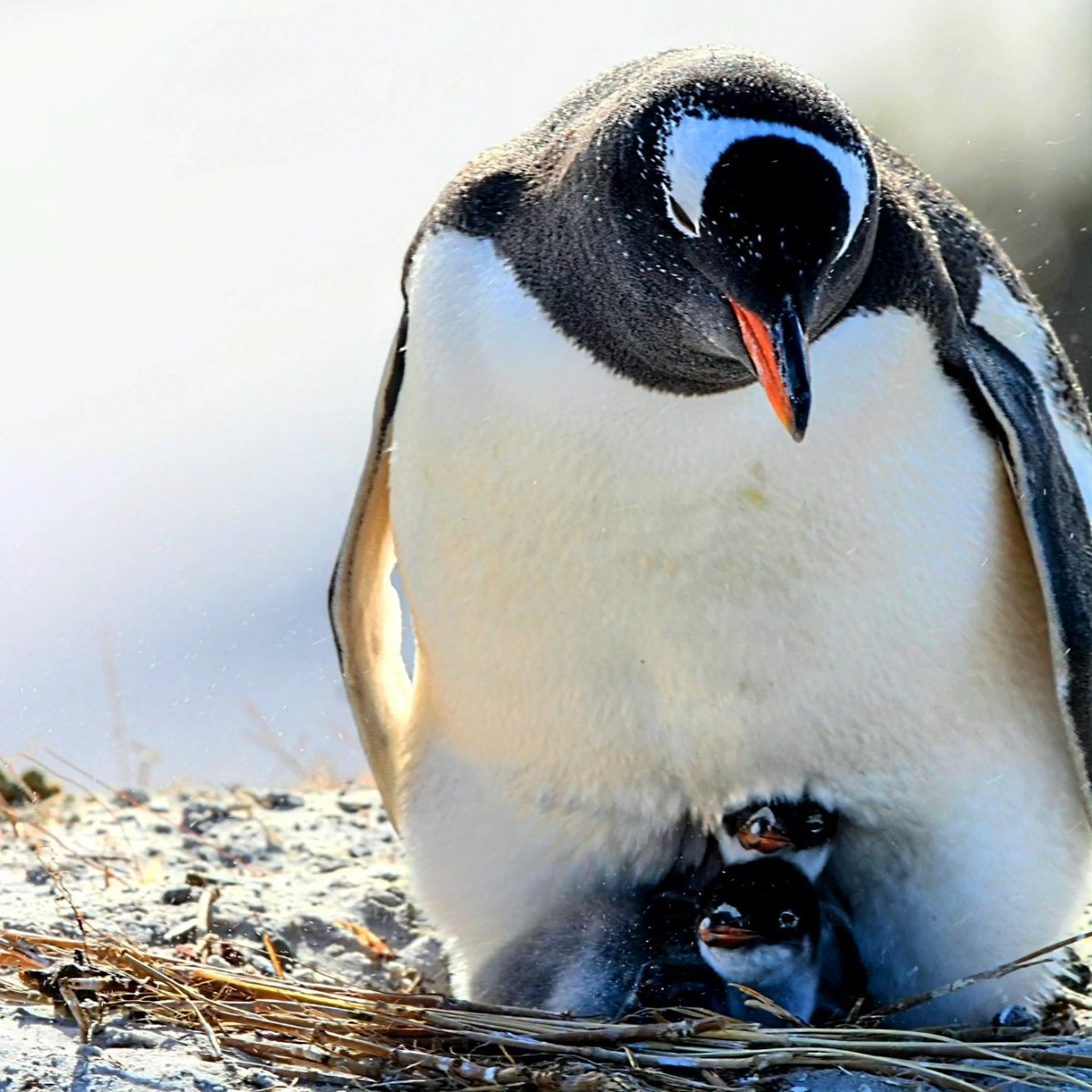 Becky Clark tweet media