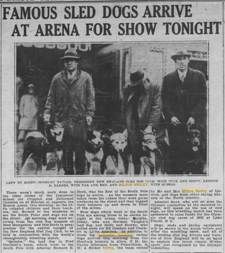 LHusky2023's tweet photo. Rowdy second from right in 1931
The Boston Globe 
October 29th-1931
Link: https://t.co/iaKCDIju8q
#LabradorHuskies #RowdyofNome was NOT a Malamute https://t.co/9o2Et0SjIt