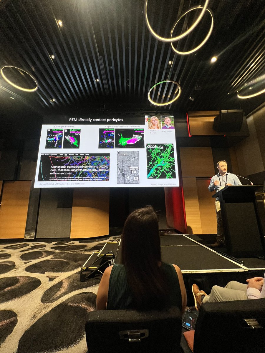 Dr Yasmine Doust (@y_doust) on Twitter photo Fabulous talk by <a href="/BradASutherland/">Brad Sutherland</a> at <a href="/AusNeuroSoc/">Australasian Neuroscience Society (ANS)</a> 2023 in #Brisbane about #pericytes and #microglia in health and disease.
<a href="/UTAS_/">University of Tasmania</a> <a href="/UTAS_MPH/">TSoM Public Health</a> Fabulous talk by <a href="/BradASutherland/">Brad Sutherland</a> at <a href="/AusNeuroSoc/">Australasian Neuroscience Society (ANS)</a> 2023 in #Brisbane about #pericytes and #microglia in health and disease.
<a href="/UTAS_/">University of Tasmania</a> <a href="/UTAS_MPH/">TSoM Public Health</a>