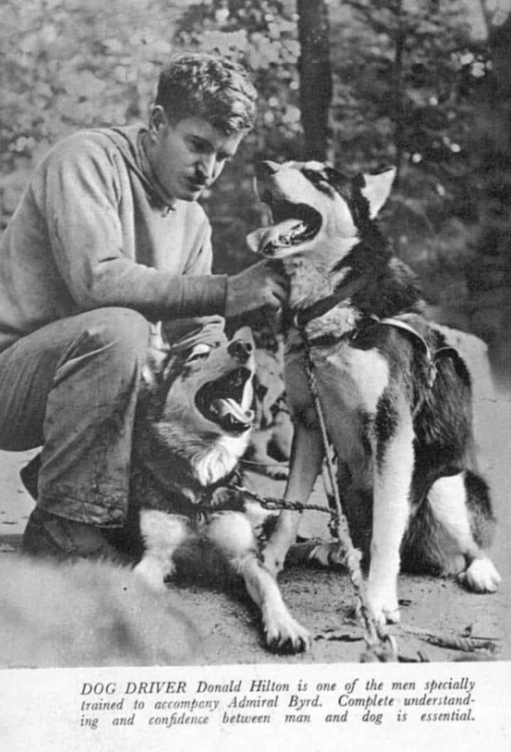 LHusky2023's tweet photo. Milton Seeley at Wonalancet Kennel 1940
British Newspaper Archives 
https://t.co/VBORN2ABCY
#Huskies were procured from #Labrador https://t.co/iR3aoD0GVJ