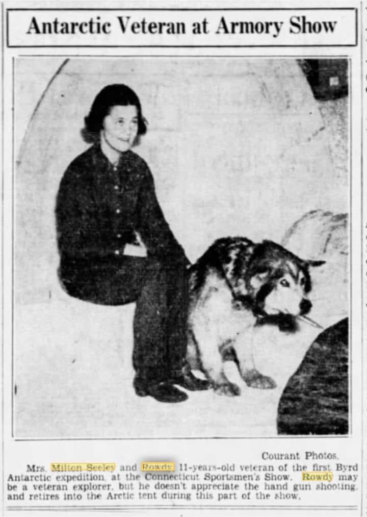 LHusky2023's tweet photo. Eva Seeley and ‘#RowdyofNome ’ Byrd’s 1st Expedition Veteran #LabradorHusky (from #Labrador NOT Alaska) was falsely recorded as a Malamute. Seeley created the Alaskan Malamute which is a mixed breed), when he was 11 in 1938...
Link to article: https://t.co/qleZE6nxXQ… https://t.co/gzatTJUGlm