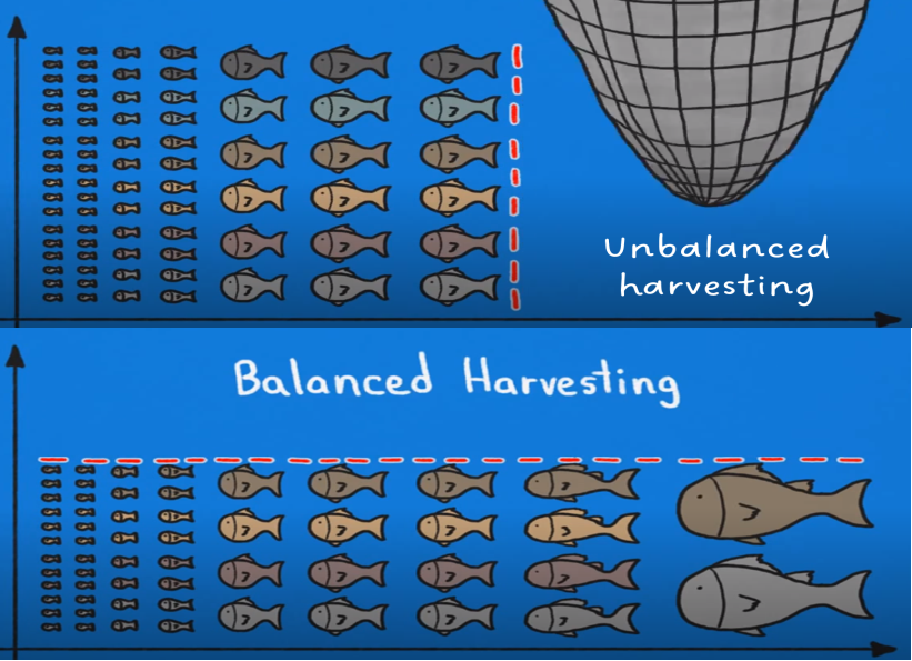 Matthew Holden 🏳️‍🌈 @matthholden.bsky.social tweet media