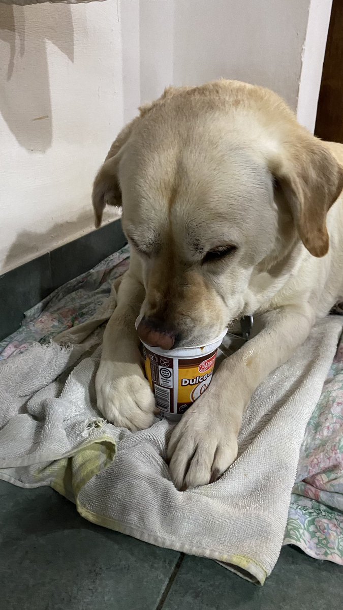 El mejor dulce de leche ♥️ <a href="/laserenisima/">La Serenísima</a>