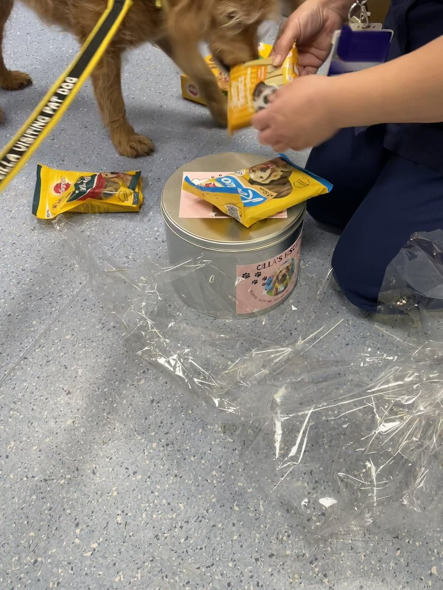 roobydooby 💙 tweet media