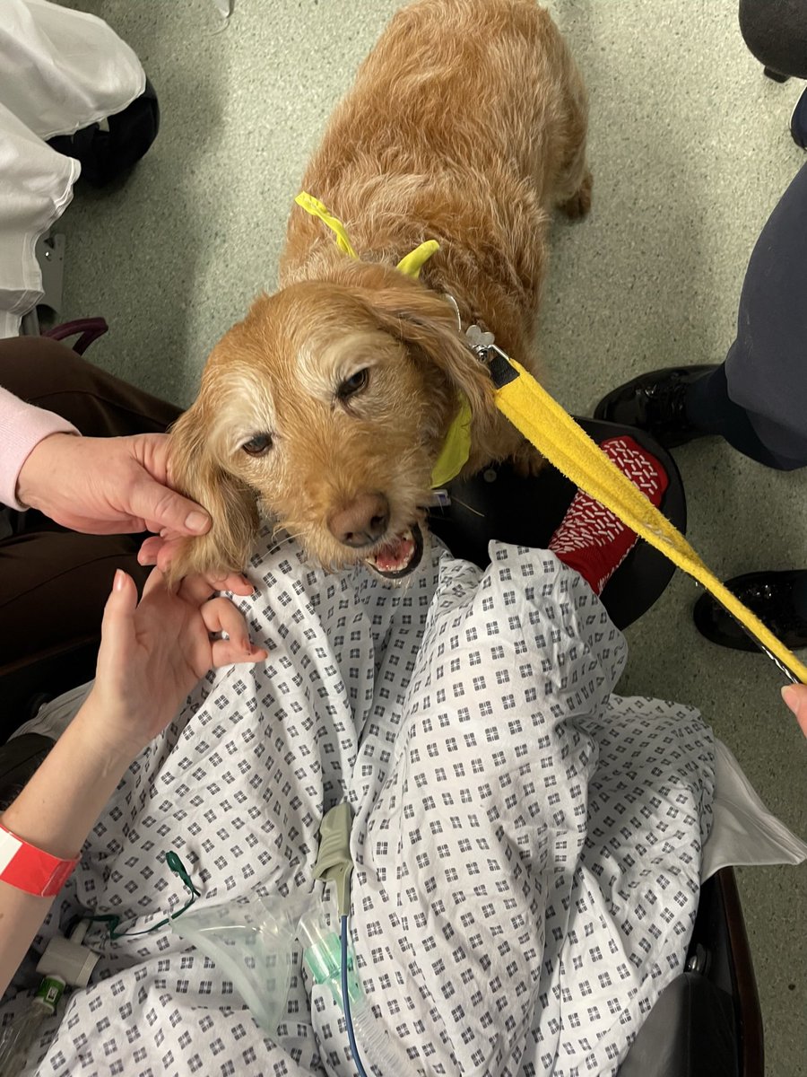 roobydooby 💙 tweet media