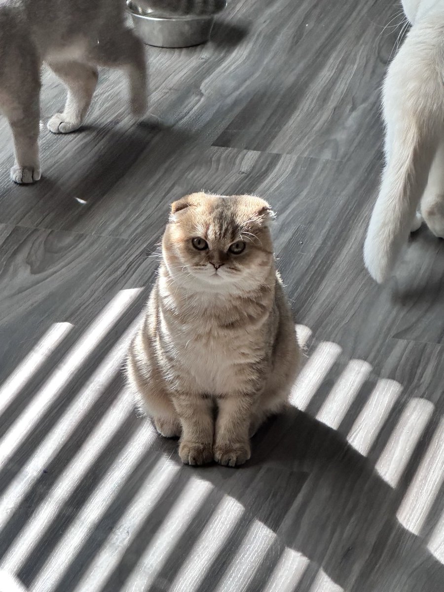 What are you looking at... Why haven't you liked the post yet?😂😂