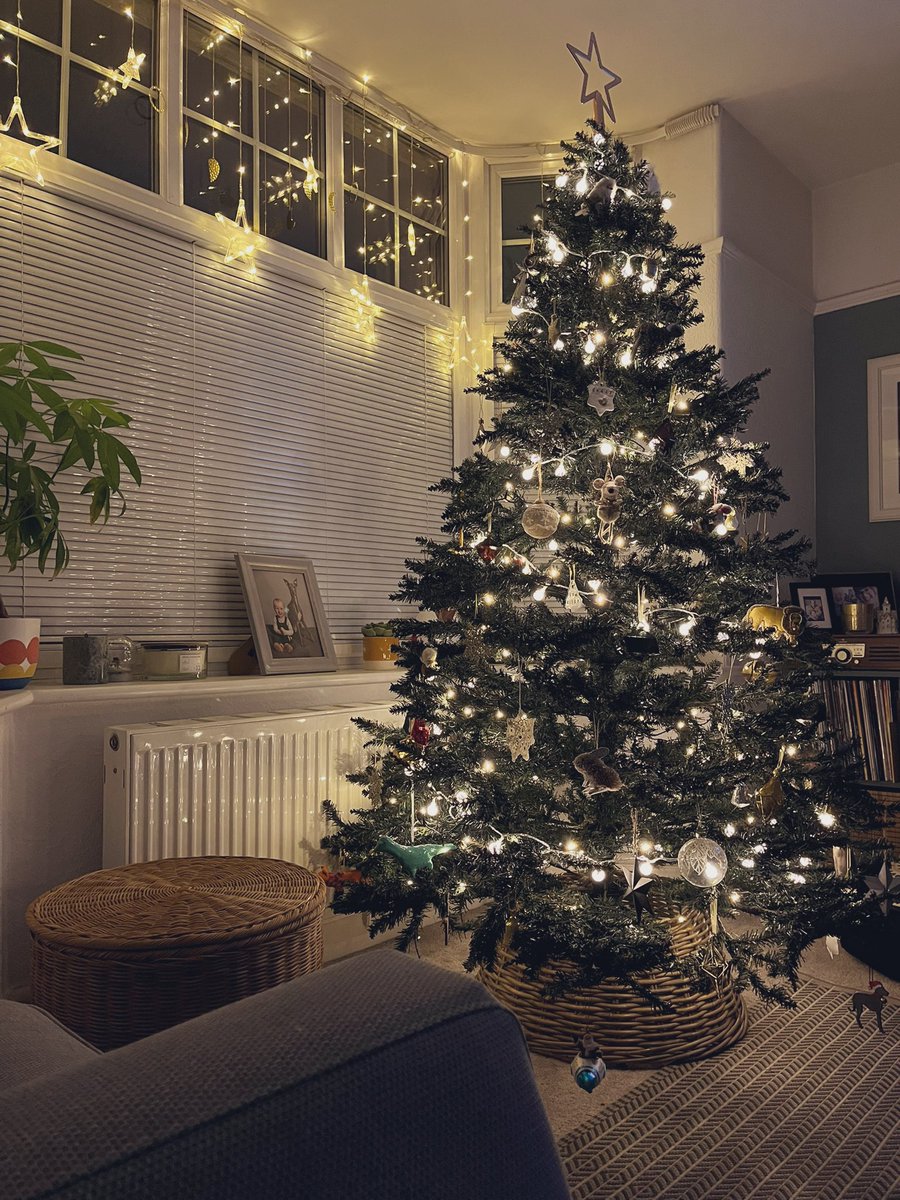 Sarah Webber tweet media