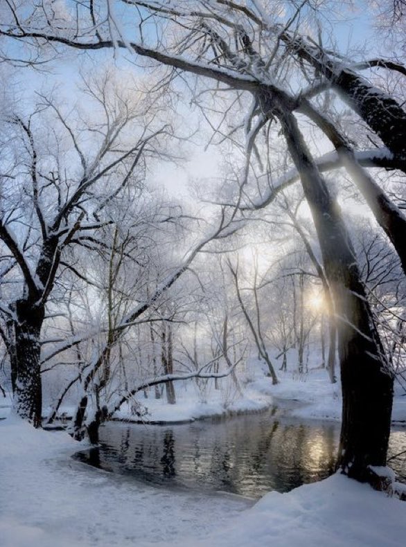 Marguerite (@artmarkas) on Twitter photo 