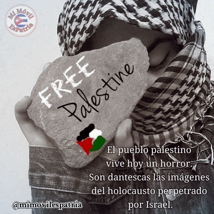 E_RdgzDavila's tweet photo. Israel confirma inicio de operación en sur de Gaza, aumenta a casi 16 000 la cifra de palestinos muertos. #FreePalestine #TransporteCuba https://t.co/5xZbsvjpRi https://t.co/sLW0MECJaG