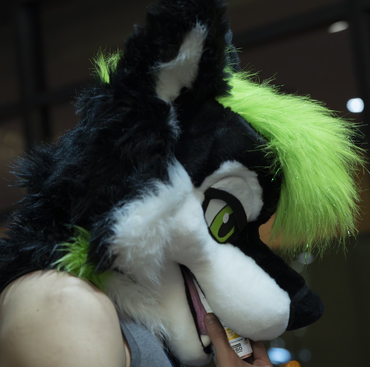Vozz_pup's tweet photo. Honestly, what a banger of a weekend. To those I met, thank you for the great time and I hope to see y’all at the next one! 💚💚💚 https://t.co/qZgSwNVHEt
