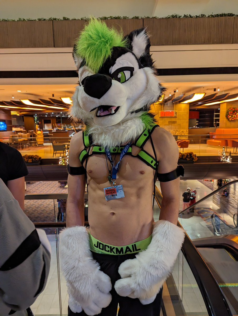 Vozz_pup's tweet photo. Honestly, what a banger of a weekend. To those I met, thank you for the great time and I hope to see y’all at the next one! 💚💚💚 https://t.co/qZgSwNVHEt