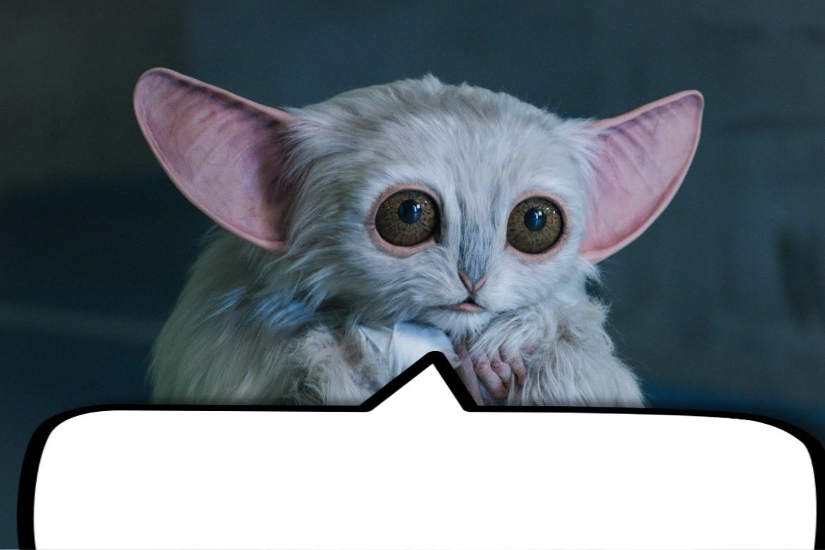 Lauren 💫 tweet media