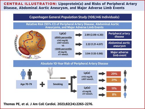 👁️Lipoprotein(a) and Risks of Peripheral Artery Disease, Abdominal Aortic Aneurysm, and Major Adverse Limb Events

👥108146 individuals 
📌2450 developed PAD
📌 1,251 AAAs
👉Higher Lp(a) was associated with a stepwise ↗️ in risk of PAD and AAA
👉Lp(a) levels ≥99th (≥143 mg/dL,