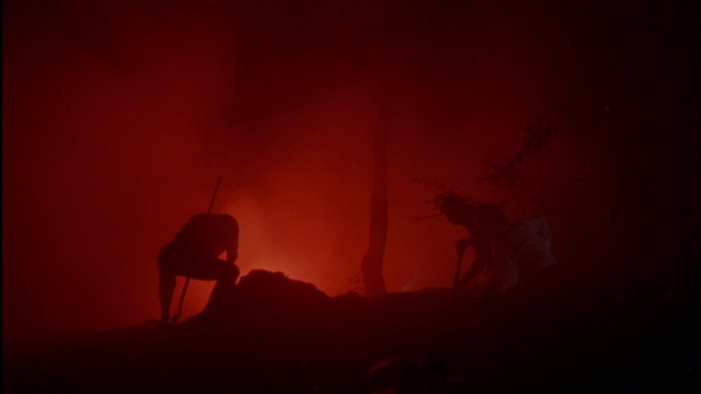 scorsesepoint's tweet photo. Red in Martin Scorsese films. 🔴 https://t.co/4w2LbxSS7m