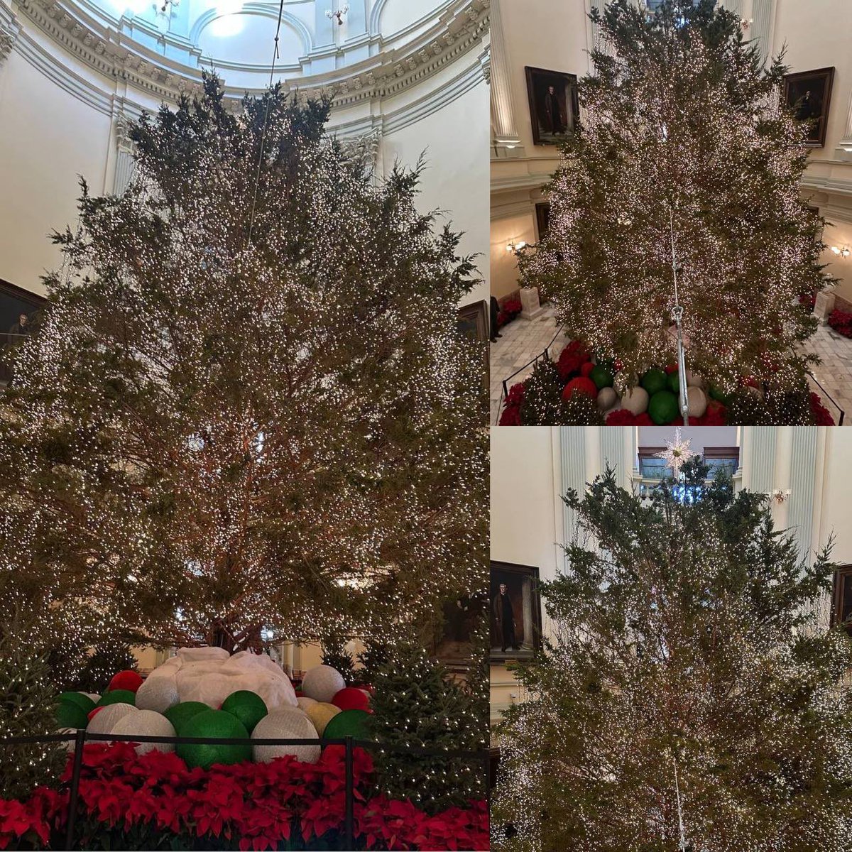This beautiful tree is in the Georgia Capitol, and I am proud to say comes from the Ringgold area, which is in my district, Georgia 14.