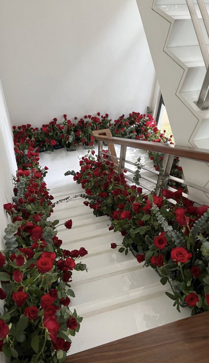 Roses ❤️