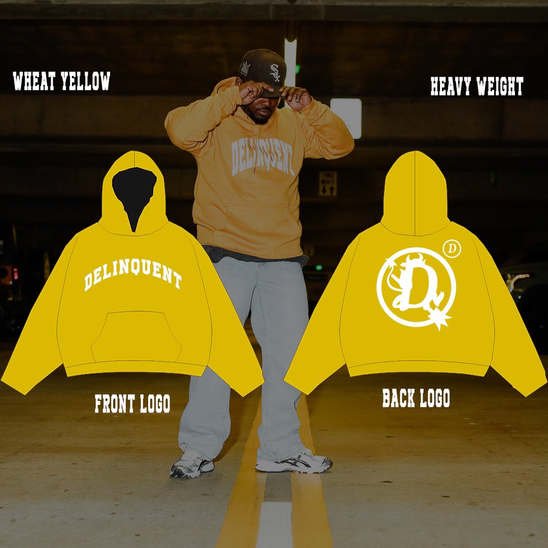 This post purpose is to tell you the significant change that came to our hoodies this year was QUALITY. 

We sourced some of the best heavyweight and comfortable materials on the market to ensure our Delinquent Family is Fly and Warm. 

New colorways drop 12/7 
#hoodieszn