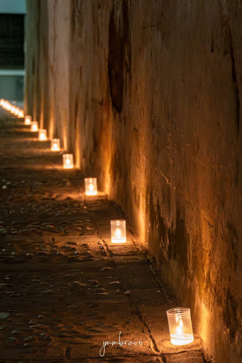 jmmbravo's tweet photo. "Sigue las velas para encontrar el camino".
Localización: Fregenal de la Sierra
#luz #NocheenBlanco #Extremadura https://t.co/sxSDtr7VUs
