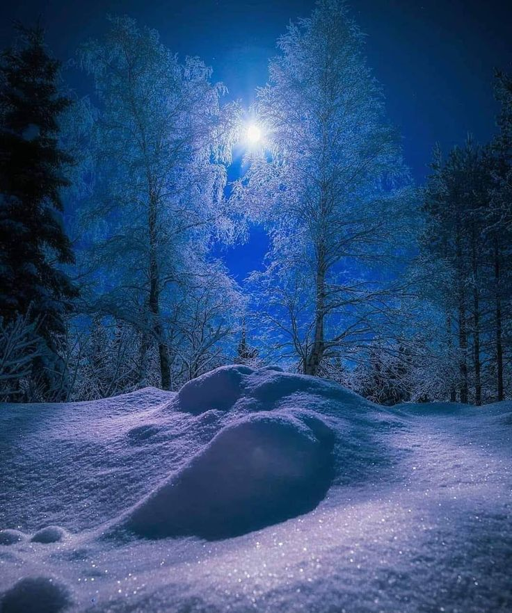 Good night❄️❄️❄️❄️❄️💙