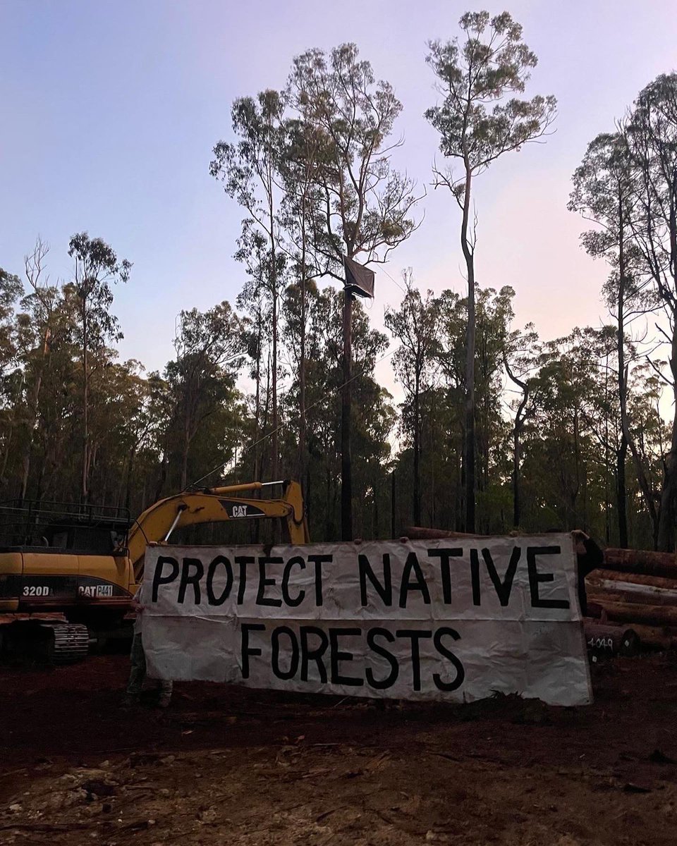 Bellingen Activist Network tweet media