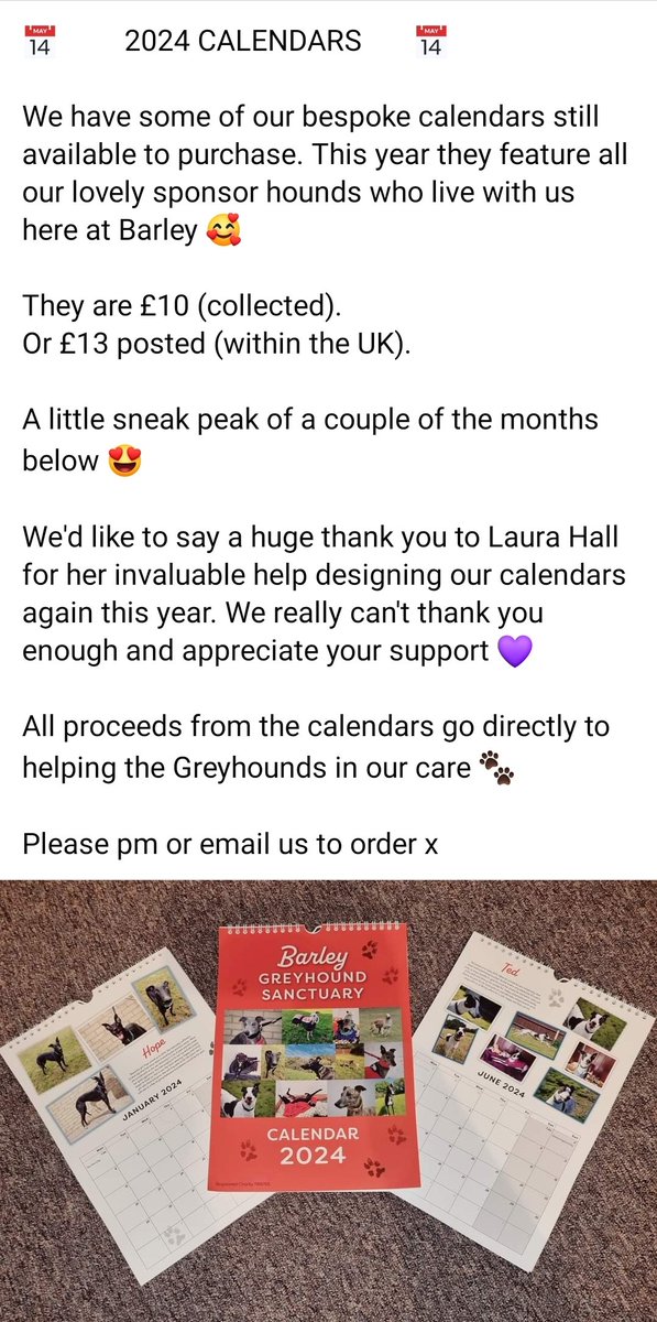 Barley Greyhound Sanctuary tweet media