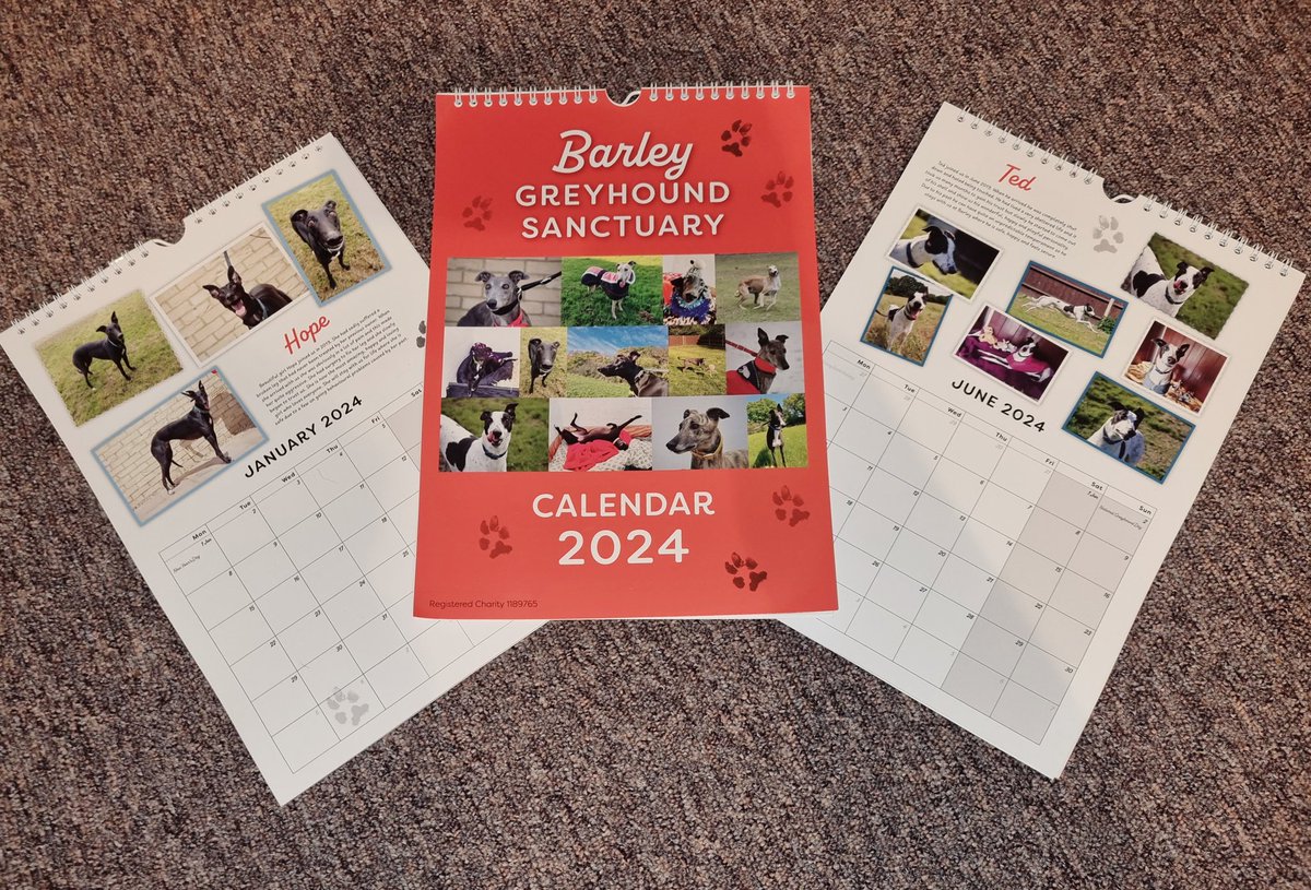 Barley Greyhound Sanctuary tweet media