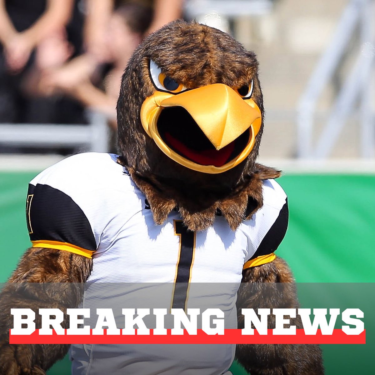 Average Southern Miss Fan tweet media