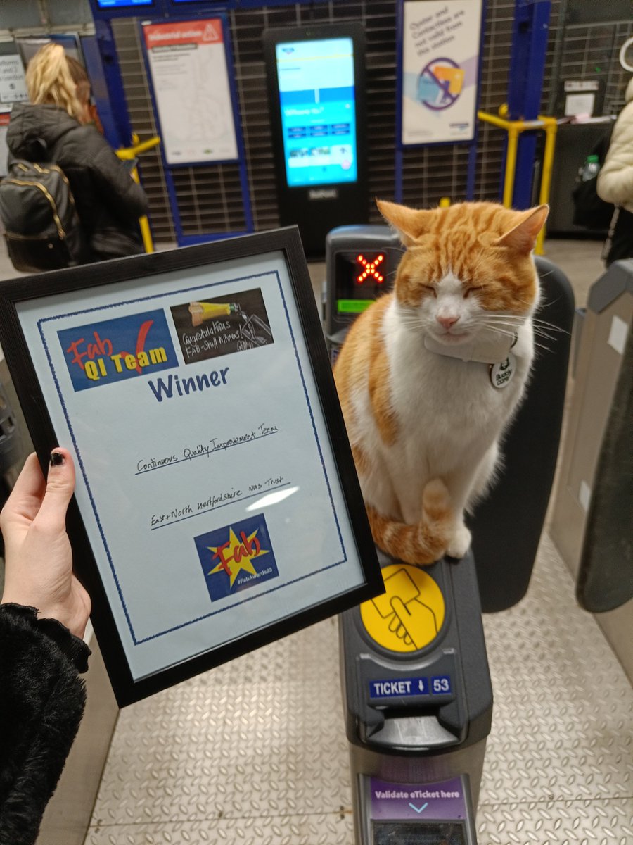 This award is Nala the Station Cat approved!