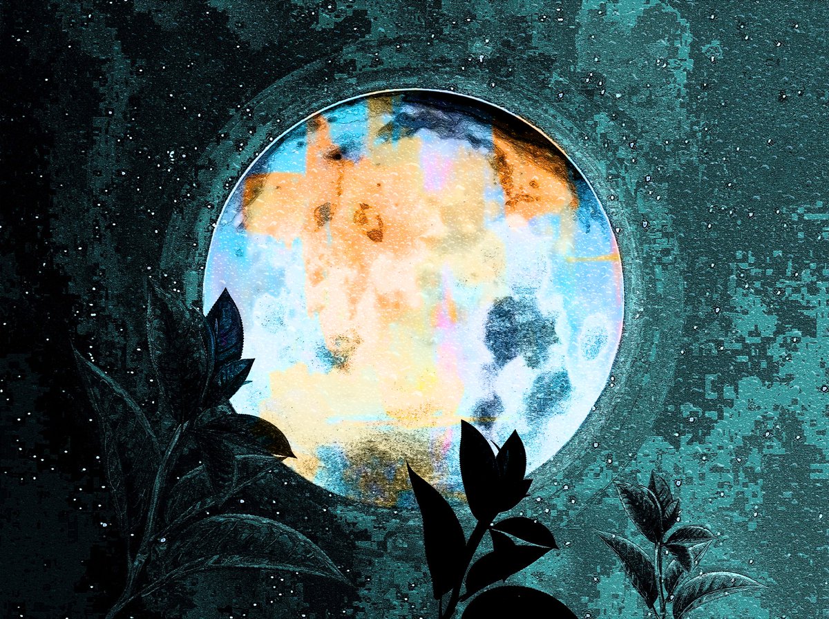 Gn Friends
I hope you had a great day?

Who will pick the second edition of "Moon dance"

7 $tez
4 editions available on <a href="/objktcom/">objkt</a>
Link in Comment