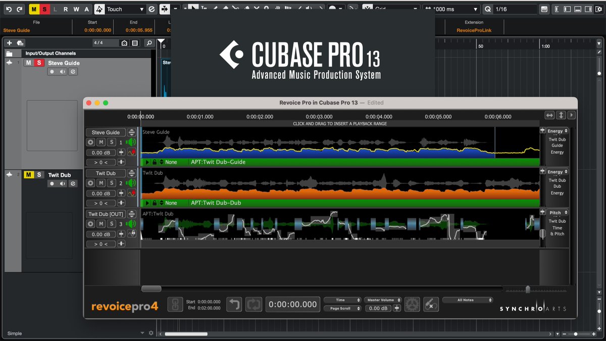 We're pleased to say Cubase 13 has been qualified across all products by the Synchro Arts team!