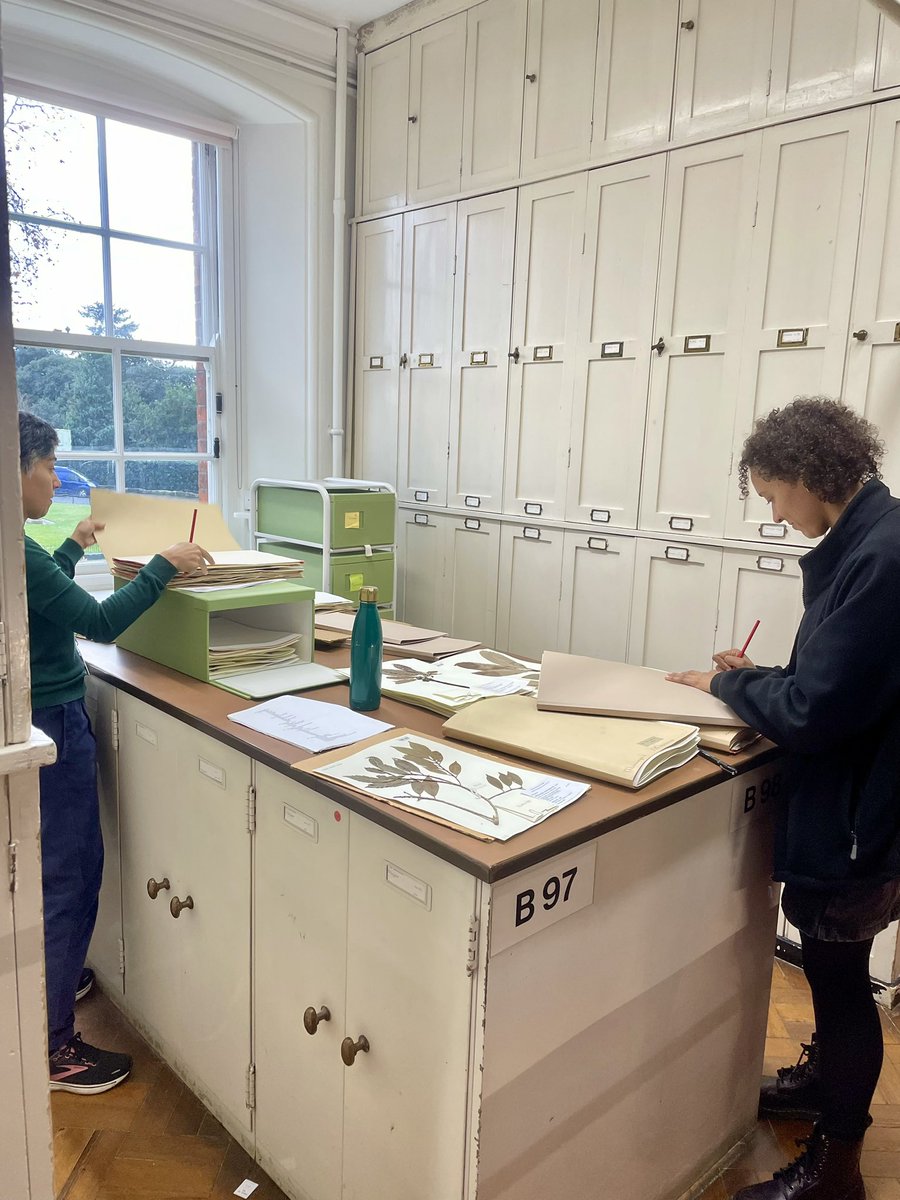 🌍🌿 Join us in celebrating the collaboration and dedication of the curators and researchers in the Africa geographical team at #KewHerbarium! Efforts to add new specimens in a systematic manner will aid researchers for years to come. 🌿🔬 #Teamwork  #Africa #curation #taxonomy