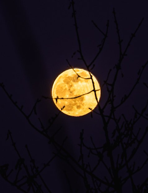 truthscant's tweet photo. ❓IS THE MOON VISIBLE FOR YOU RIGHT NOW❔🌚🌕

Please share your pics and rough location if you can..in the comments

South Africa? South America? India? Australia? Europe? Etc etc

We need as much data as poss 

We are onto something... Thankyou for taking part in advance if you do 🤔🤔🌚🌚🌚🌚🌚🌚🌚🌚

👇👇👇👇

#moon #researchflatearth