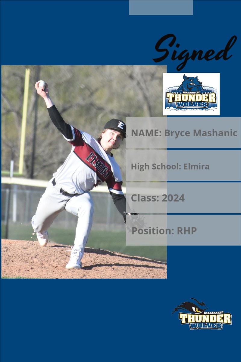 SUNY NIAGARA BASEBALL tweet media