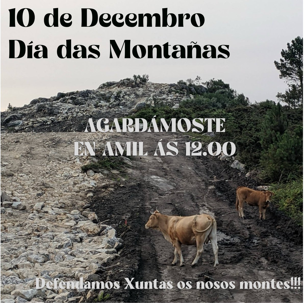 CINCO novas estacions de petros en Campo Lameiro descubertas por unha asociación

E que é TODO un xacemento! Paseo que das petroglifo que atopas

Pero <a href="/CulturaXunta/">Cultura de Galicia</a> empeñanse en deixar que empresas dinamiten o nosos montes

PETROS DINAMITADOS NUNCA MÁIS!

diariodepontevedra.es/articulo/comar…