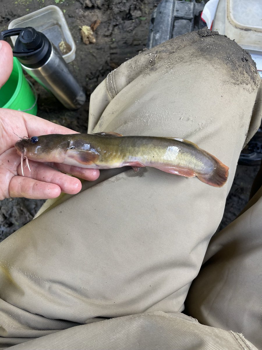 Sarah Molinaro tweet media