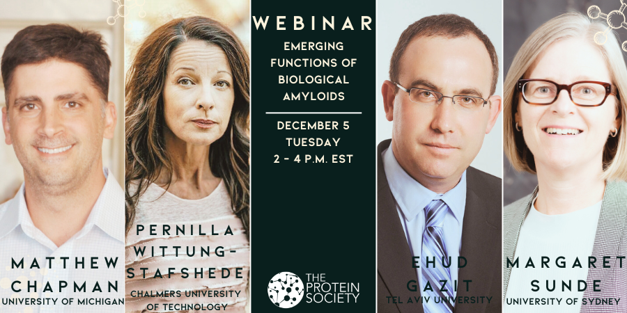 Don't miss our webinar on Emerging Functions of Biological Amyloids. Tomorow @ 2 Eastern Free registration: us06web.zoom.us/webinar/regist…