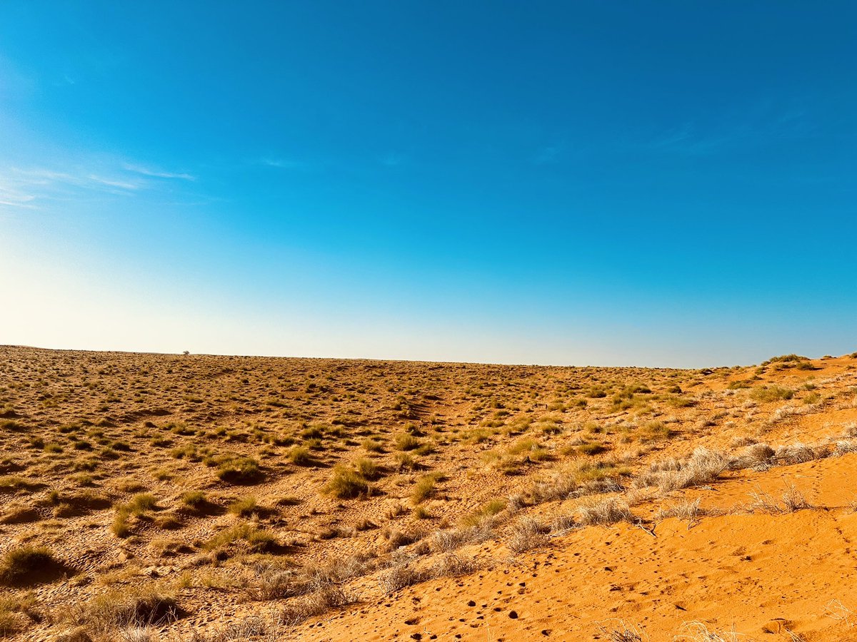 ZeinaSidib2's tweet photo. Aujourd'hui, je vous emmène virtuellement à la découverte de la Dune Rose de Koïma, un trésor enraciné dans l'histoire de l'Empire Sanghoy. 

Je  partage avec vous  l'éclat de  ce joyau patrimonial que beaucoup de maliens n'ont peut-être jamais eu la chance de voir. https://t.co/B3hoafp1Qq