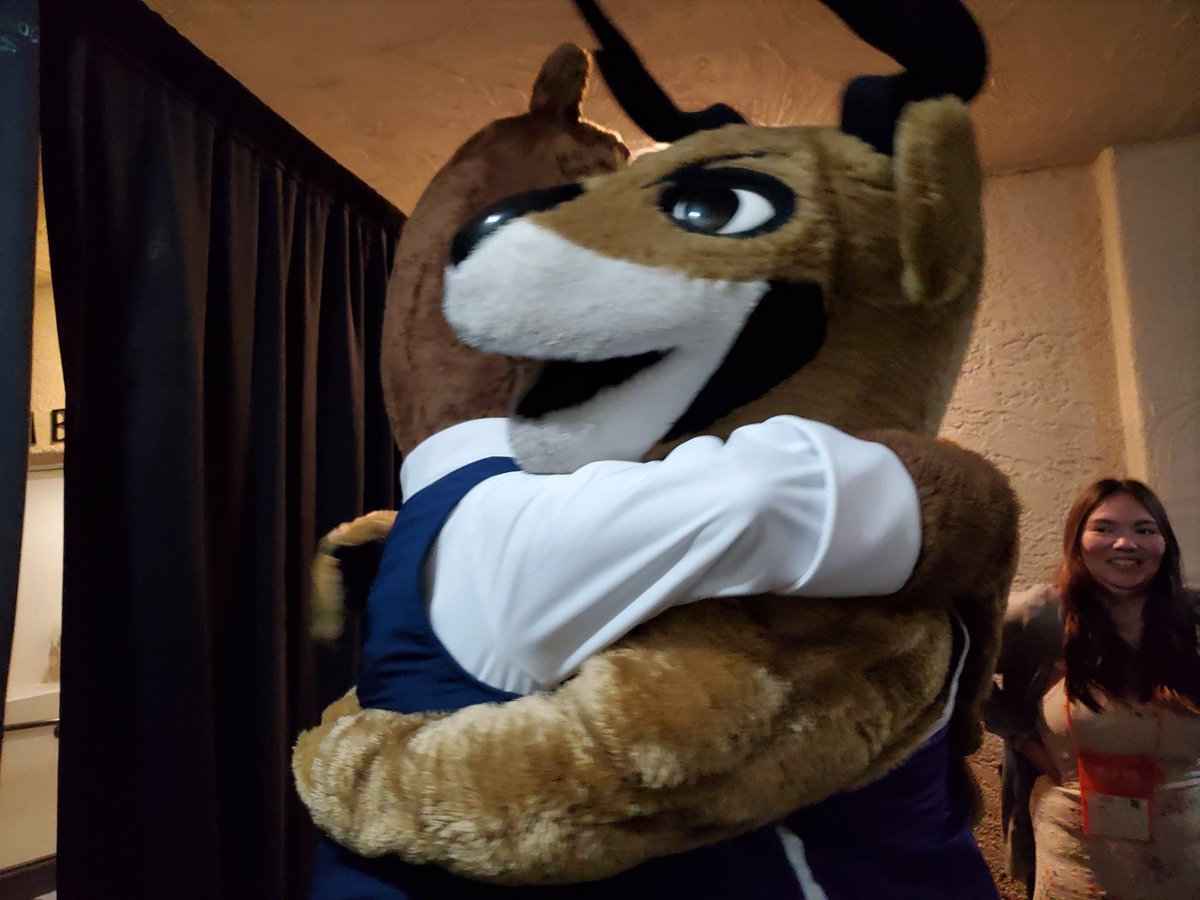 theCyBears tweet media