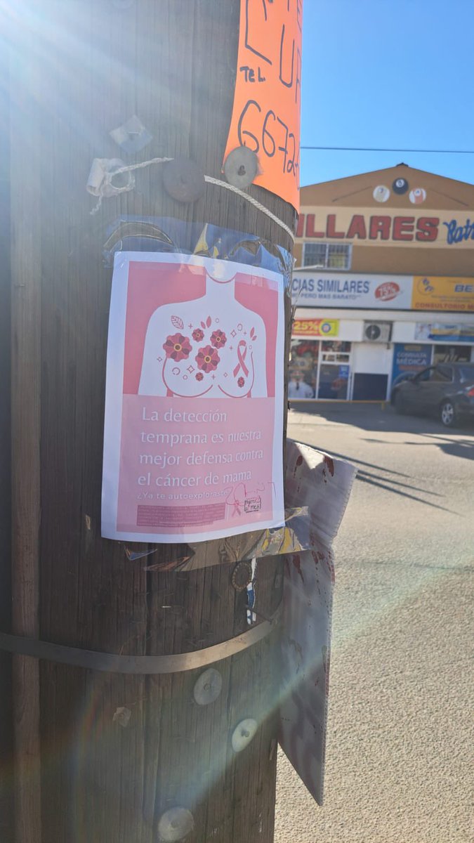 Fajardete01's tweet photo. La detección temprana es nuestra mejor defensa contra el cáncer de mama
#prevencion #cademama @medicosconcausa @JCasimiroZamora @mujeres2almes https://t.co/xHCPWntwiv