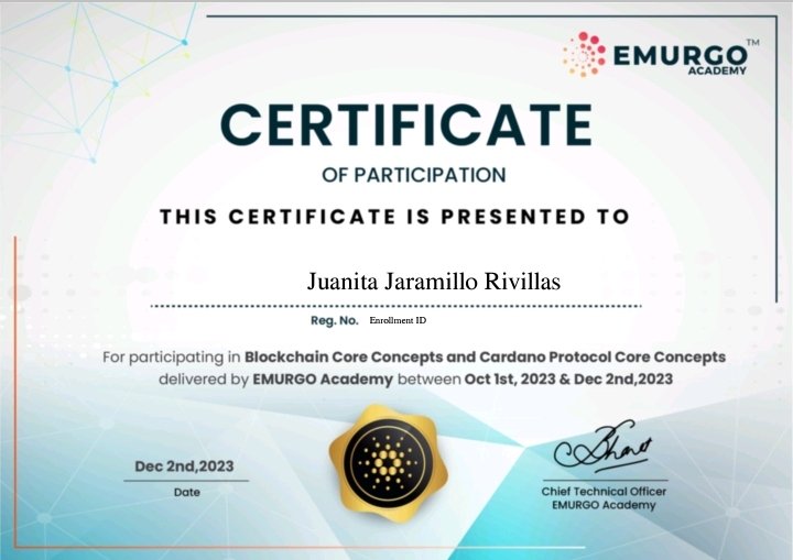 I am proud to have successfully completed the Cardano and Blockchain core concepts and protocols.
 @emurgo_in