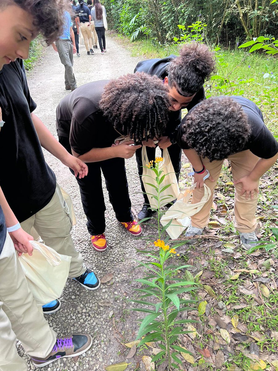 ShenandoahMS's tweet photo. Did you know Vizcaya has a wild side? Here are Mr. Fernandez's science students who met with a team of scientists and experts who helped them identify the many kinds of wildlife in Vizcaya’s pocket of preserved habitat and gardens.  #SMSMuseumsMagnet #YourBestChoiceMDCPS https://t.co/pLfO3dD0cj
