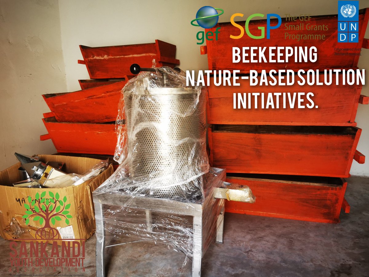 Beekeeping, microeconomic enterprise modeled with our mangrove conservation and restoration to empower communities in Kiang West Peninsula.