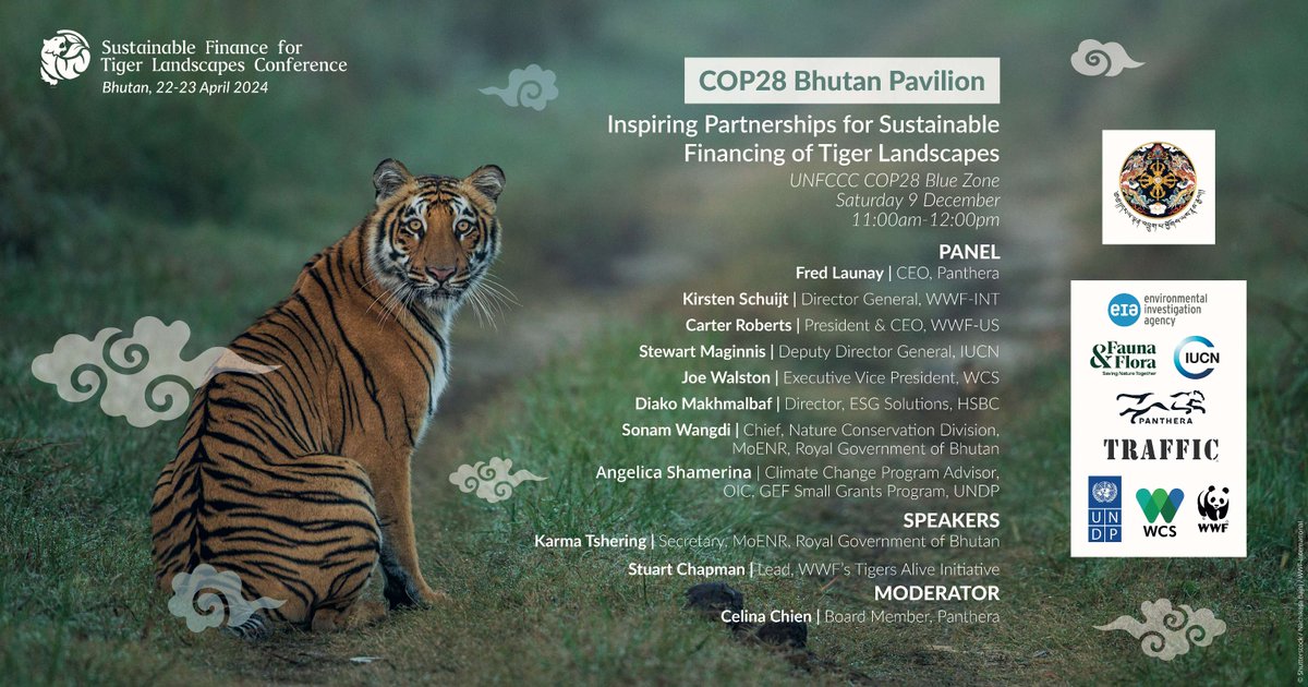 SAVE THE DATE Join @UNDP with @WorldWildlife @PantheraCats @IUCN and more to discuss inspiring partnerships to protect tigers. 📅 9 Dec 🕔 11-12noon 📍 UNFCCC #COP28 Blue Zone