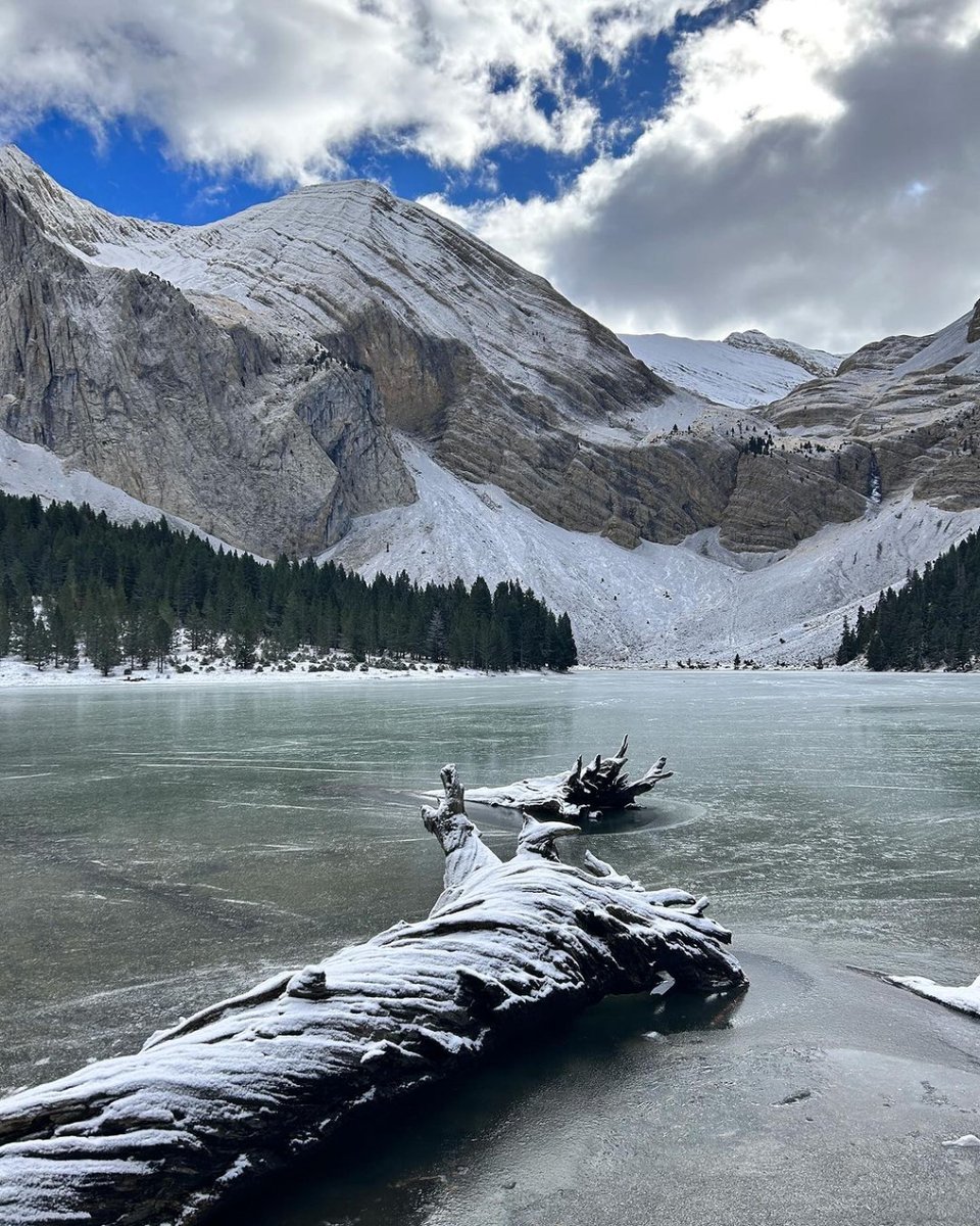 CasaBiescas's tweet photo. Ibón de Plan 💯 🏔️
•
•
•
📸: Gracias a olganavarro22 
•
•
📍 Pirineos, Val De Chistau
•
•
•
#CasaBiescas
#Pirineos #Pyrenees
#RinconesDelPirineo #RuralTop 
#pirineoaragones #pasionporaragon #disfrutaaragon #rinconesconencanto #ibondeplan https://t.co/zDTused6NF