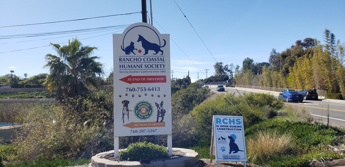 encdogguy's tweet photo. Thank you Sheena Parveen for featuring Rancho Coastal Humane Society adoptable dog Tabby on NBC 7 News Today! She's a 3-year-old, Terrier mix. Open during construction! #NBC7 #Sheenaparveen #adoptdontshop #Ranchocoastalhumanesociety #SDPets https://t.co/G5In631mZg https://t.co/5lk4IvOUN1
