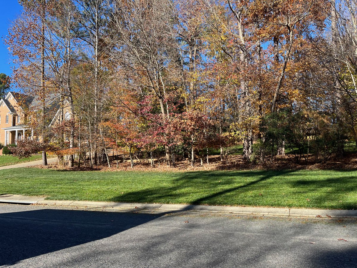 Nature's artwork showing through after a successful leaf mulching 

#lawncare #lawncarelife #lawncareservice  #leaves #chesterfieldva #midlothianva #moseley